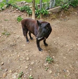 Meet your Posher, Janet